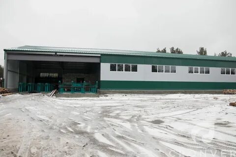 Погода в лесопильном