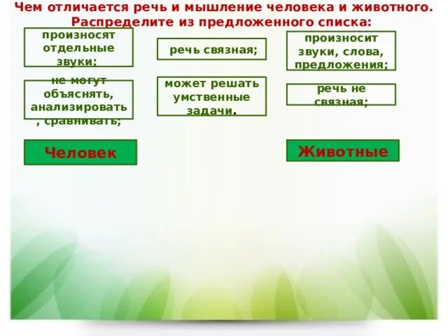 Отличия речи человека и животного. Чем отличается речь и мышление человека и животного. Чем отличается речь и мышление человека от животных. Чем отличается мышление человека от животного. Чем отличается речь от слова