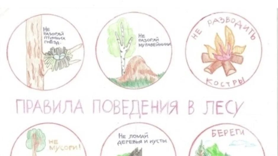 Схема береги природу