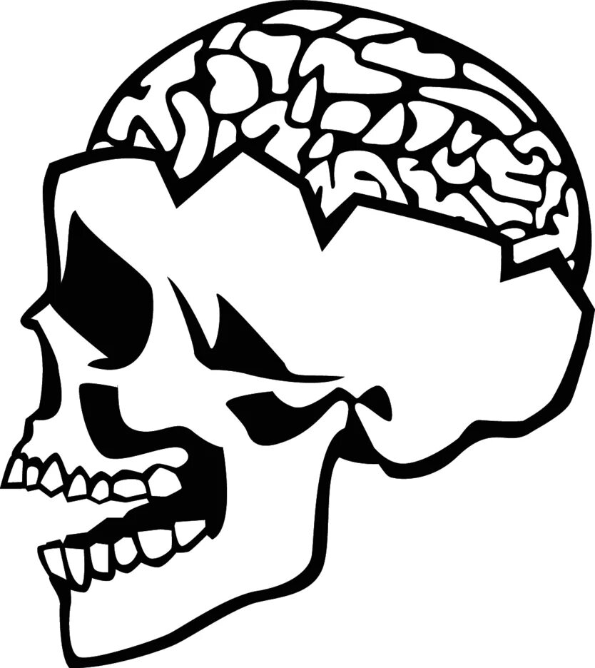 Brain skull. Brain skull. Череп человека с мозгами. Мозг граффити. Brain skull.