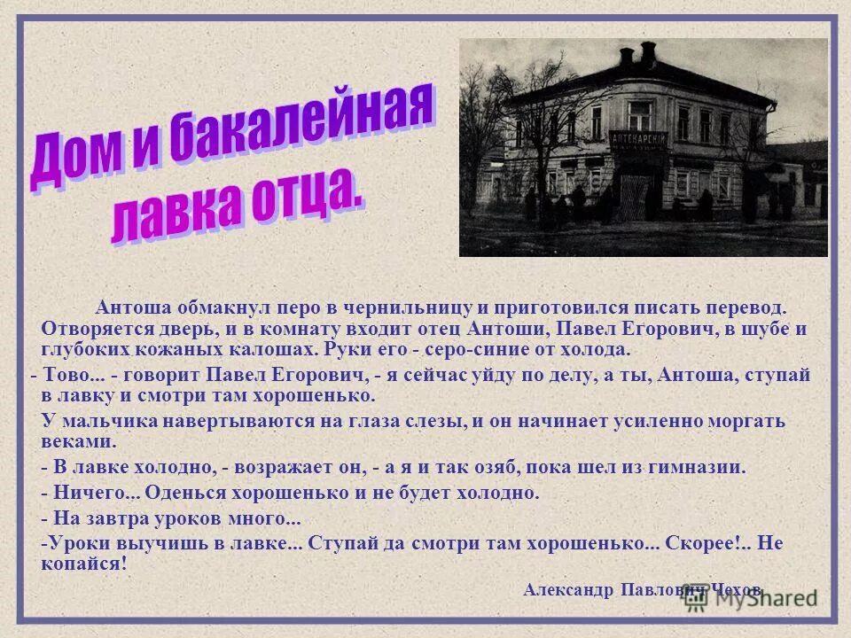 мелихово аллея. чехов мелихово интерьеры. расписание автобусов новый быт чехов. 36к чехов новый быт. чехова в мелихово чеховского , района.