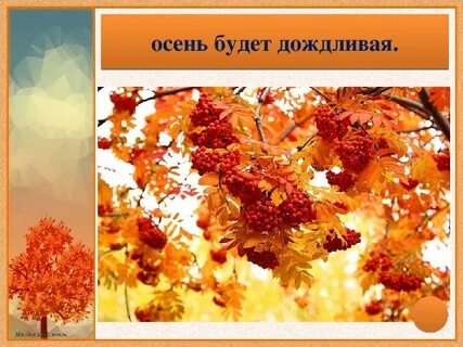 Презентация осень 4 класс 8 вид