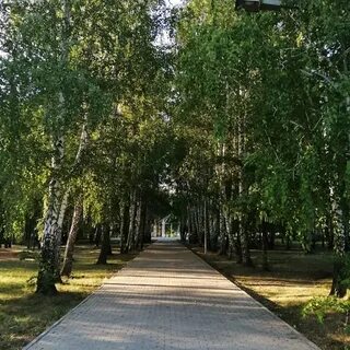 Лениногорск татарстан на неделю