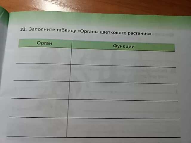 Картинки ИСПОЛЬЗУЯ ТАБЛИЦУ НАЙДИ СРЕДНЮЮ СКОРОСТЬ ДВИЖЕНИЯ