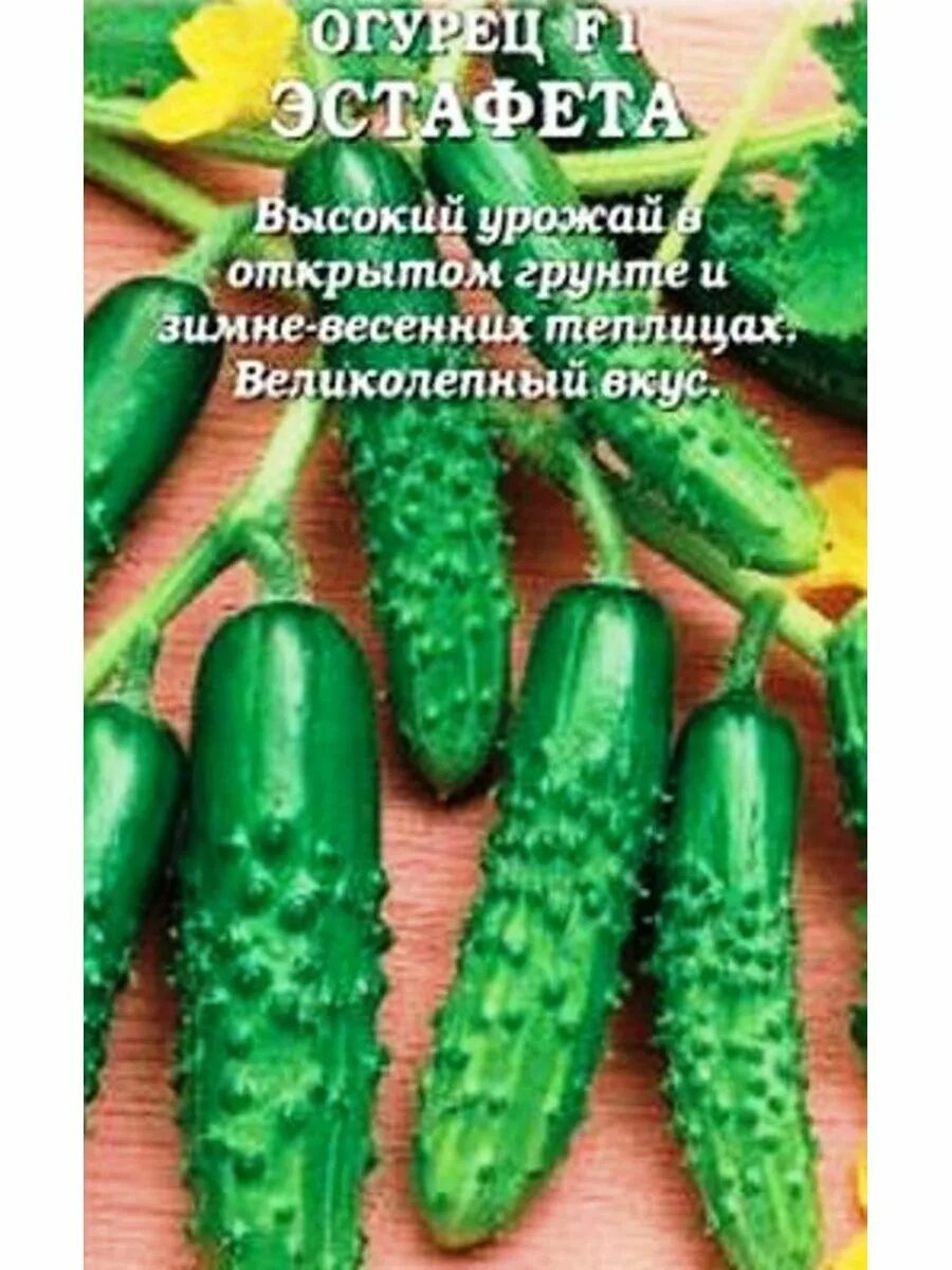 Огурец кураж 1+1 20шт гавриш. Сорт огурцов ухажер. Семена огурец ухажер f1 гавриш. Огурец ухажер f1. Огурец шалунишка f1.