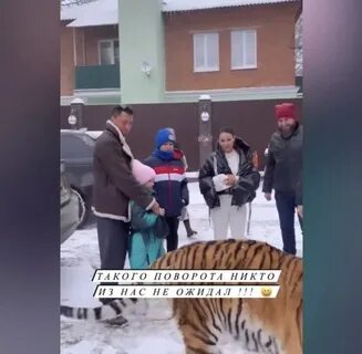Зепюр прилучная брутян избил