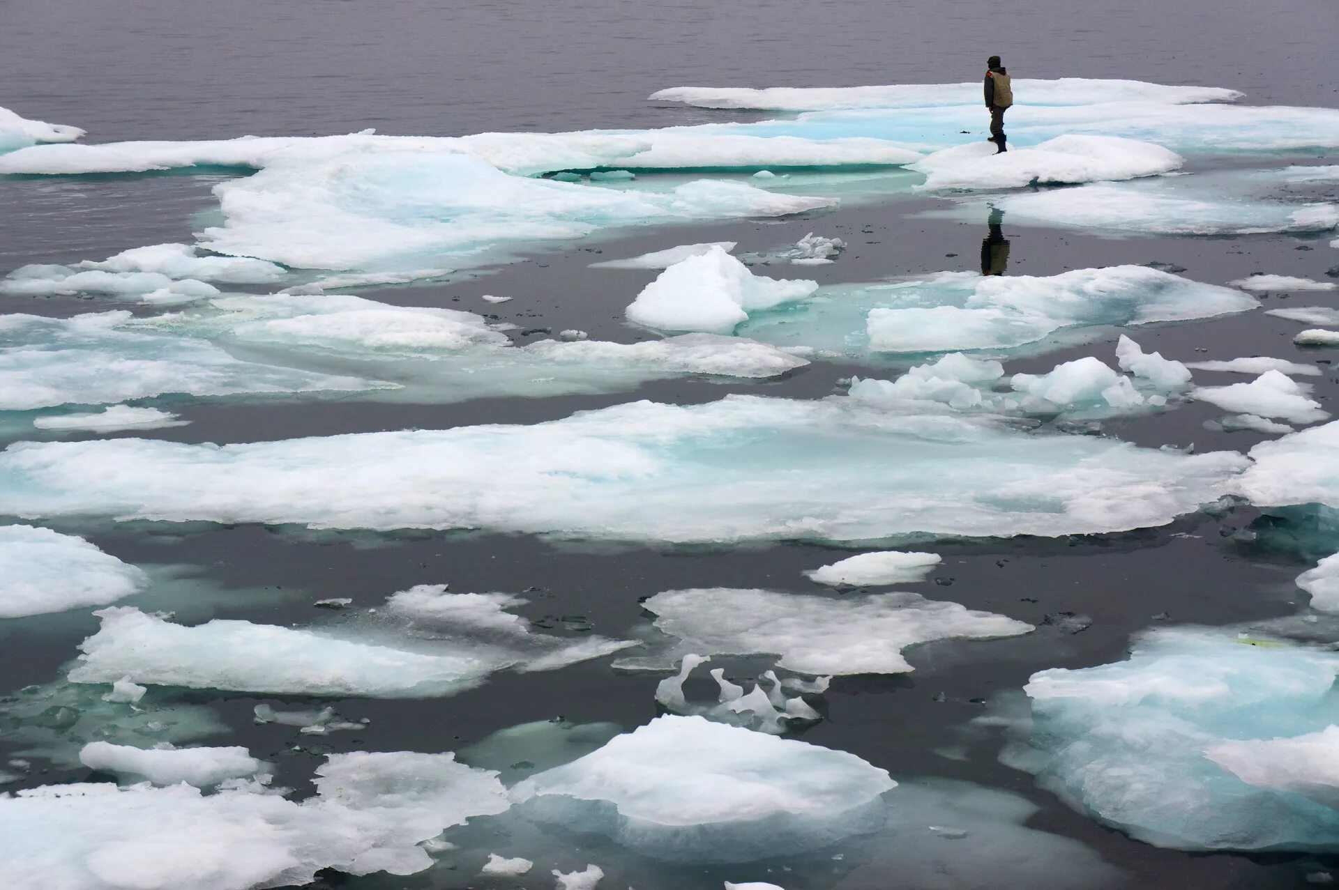 Мелкий лед на воде 4. Таяние льда. Лед растаял. Тающий лед.