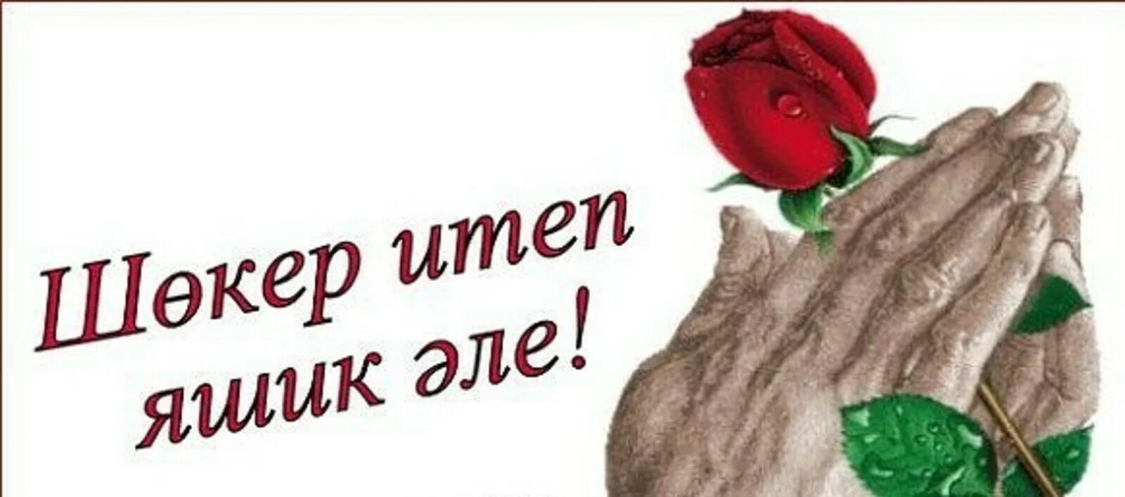 Аллага шекер. Аллага шекер. Аллага шекер. Аллага шекер. Красивые картинки аллага шекер.