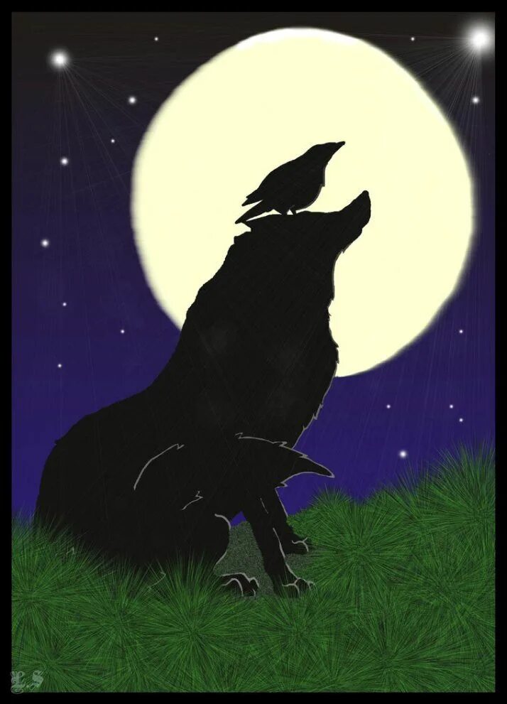 Черный ворон и волк. Волки и вороны. Ворон и Луна.