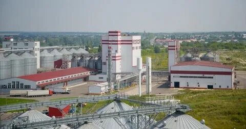 Мираторг белгород