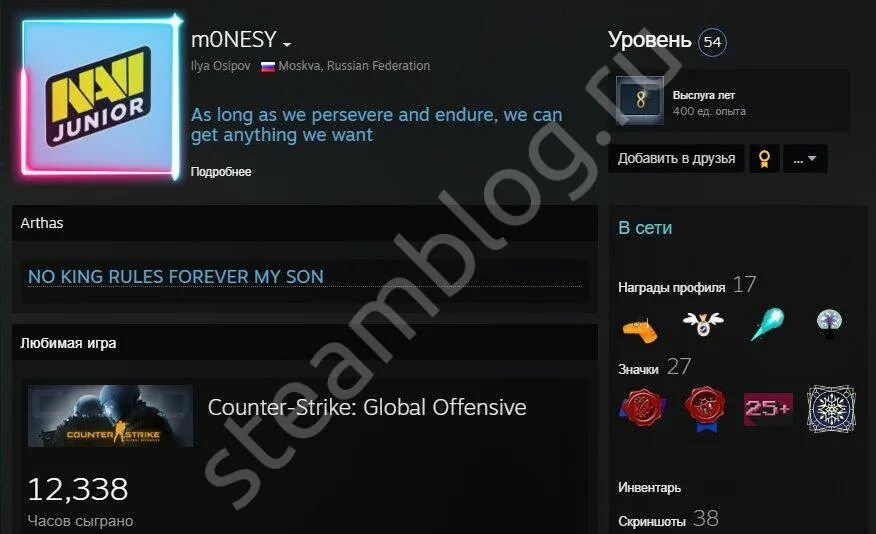 Стим профиль. Монези кс го. Стим профиль с играми. Аккаунт монеси в стиме. Монеси стим профиль.