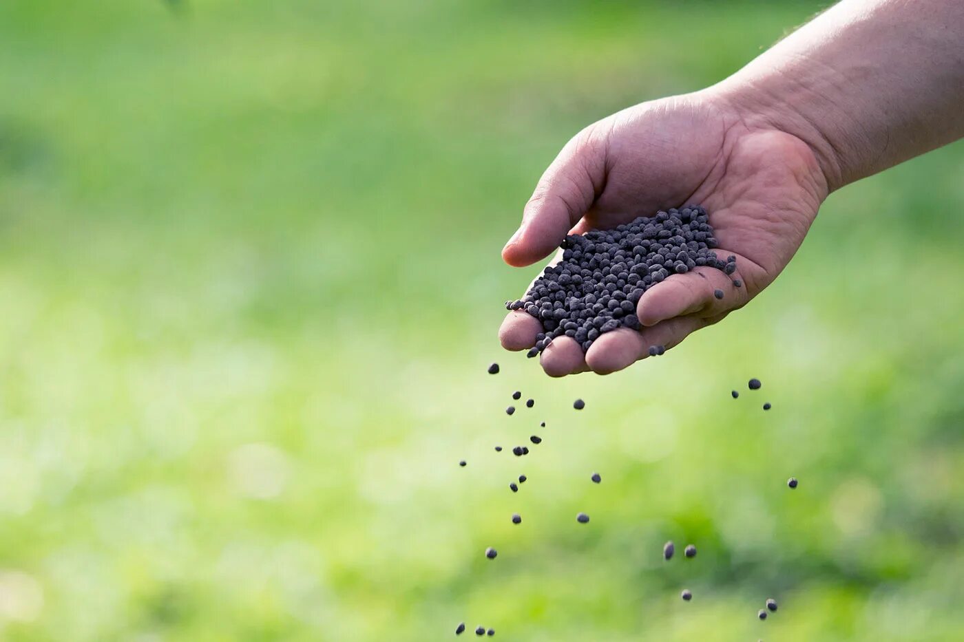 Organic fertilizer