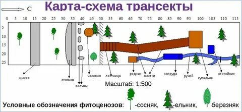 Маршрутные методы учета