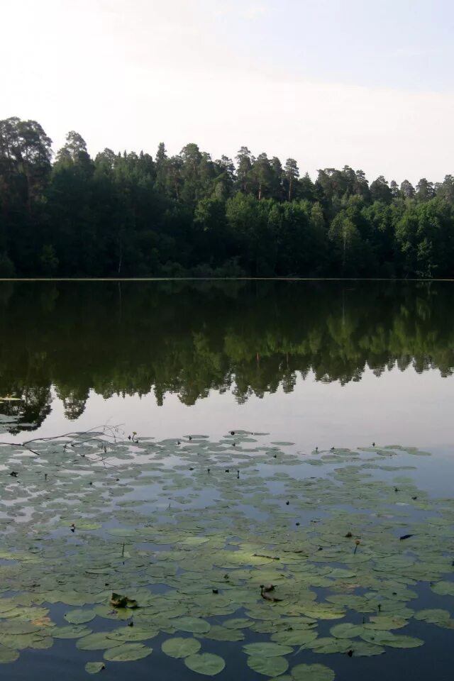 Г витебск белоруссия. Озеро глубокое шатурский район. Оз ситное. Полоцк глубокое. Полоцкий верхний замок достопримечательности полоцка.