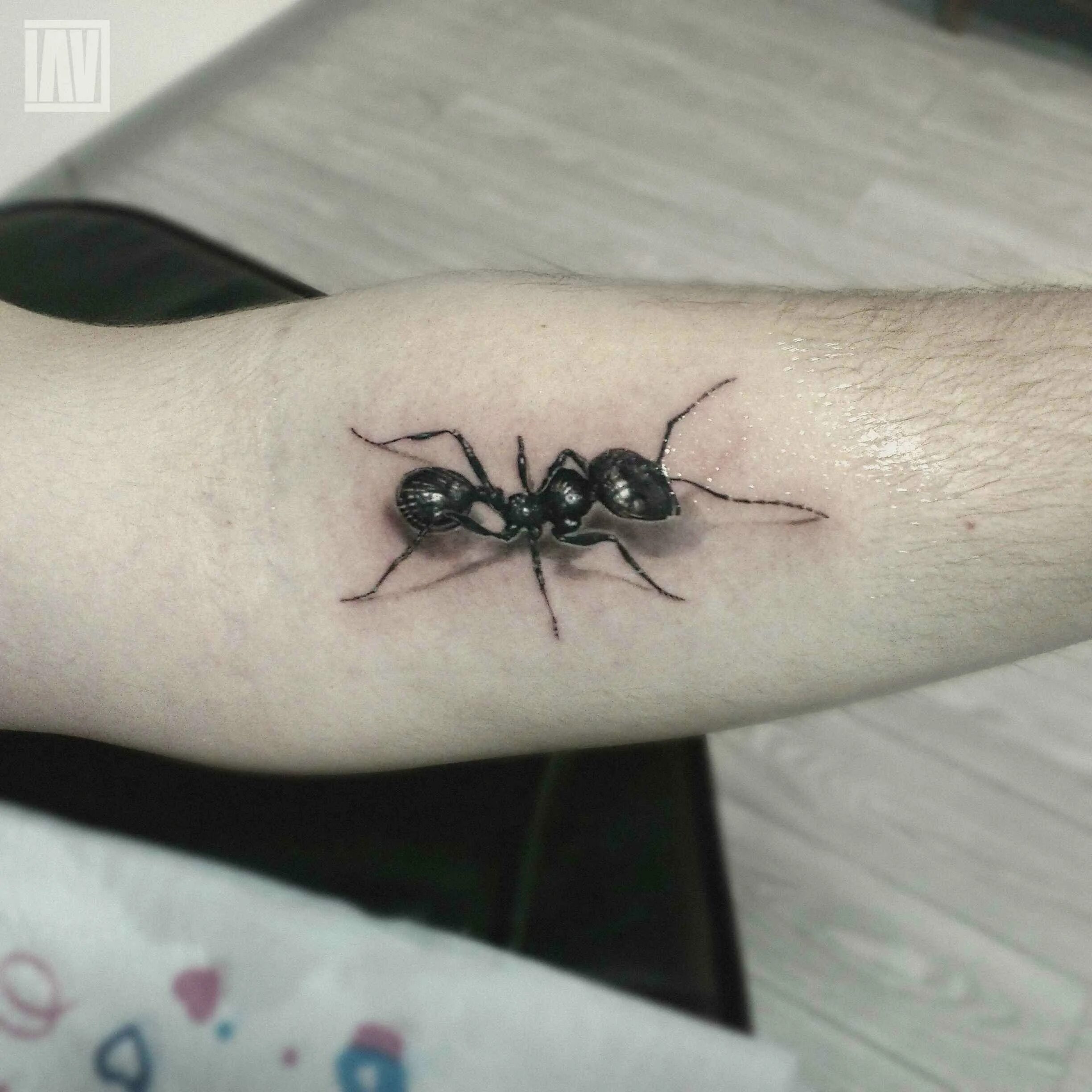 Тату муравей эскиз