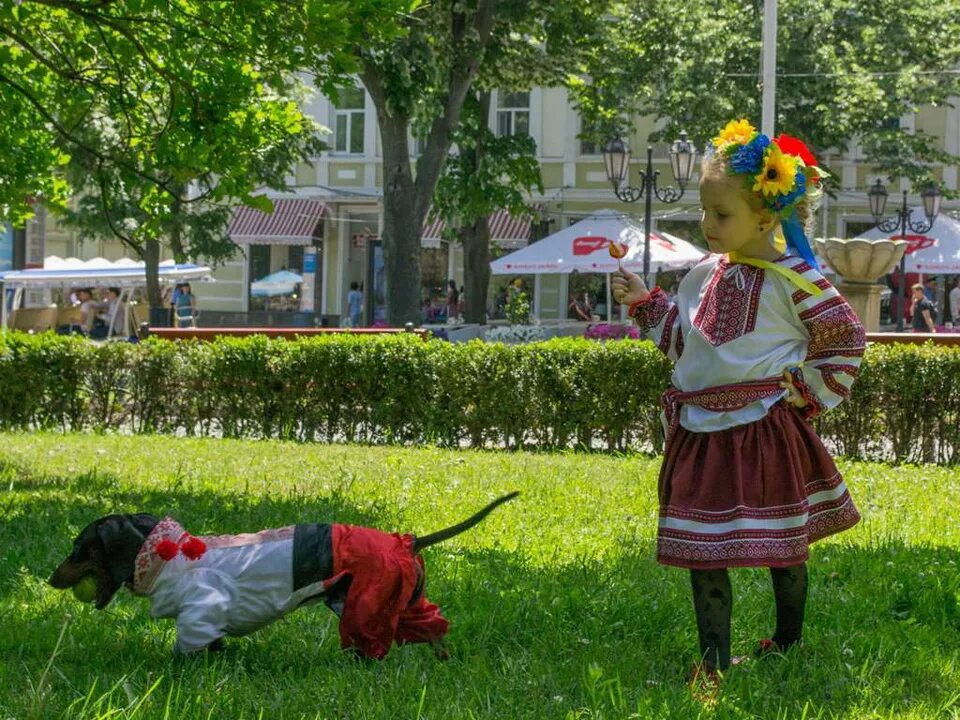 Город веселый Украина. Как выглядит город весёлая украинская.