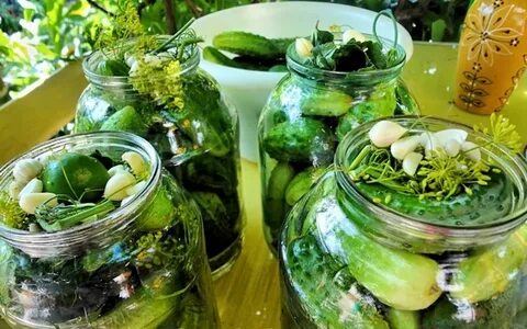 Маринованные зеленые огурцы