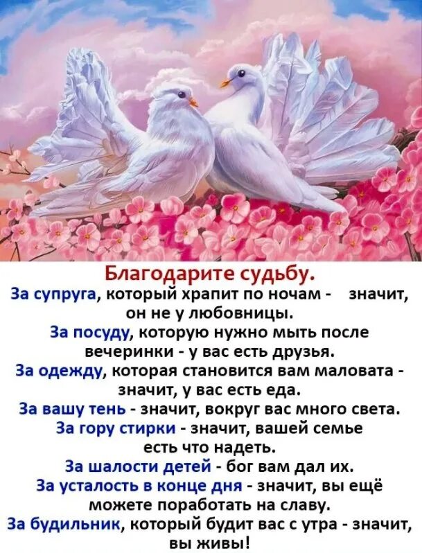 Благодарю жизнь цитаты. Благодарю судьбу. Благодарю судьбу стихи. Стихи о благодарности жизни. Нужно быть благодарным