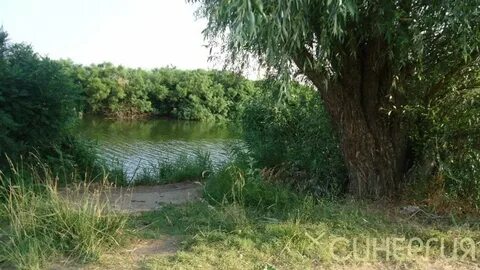 Дугино ростовская область