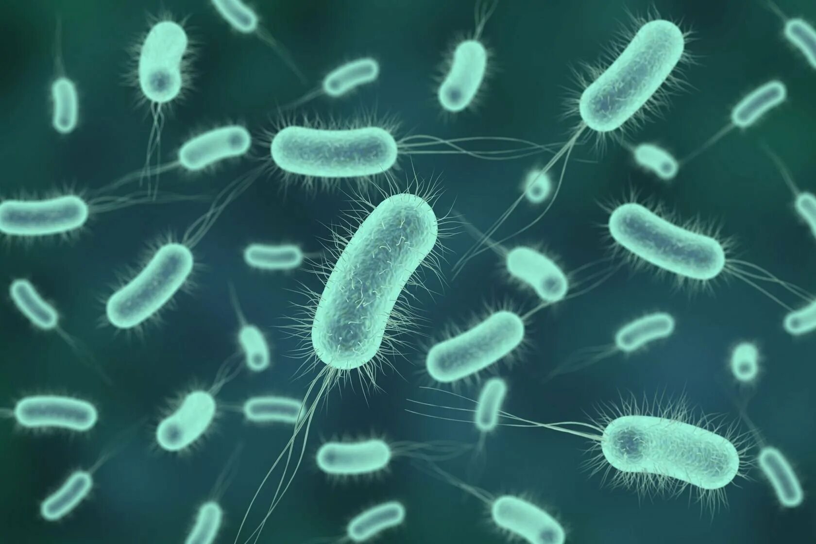 2 бактерии 1 8. Бактериа бэкрумс. Микроорганизмы. Первые бактерии. Электрические бактерии.