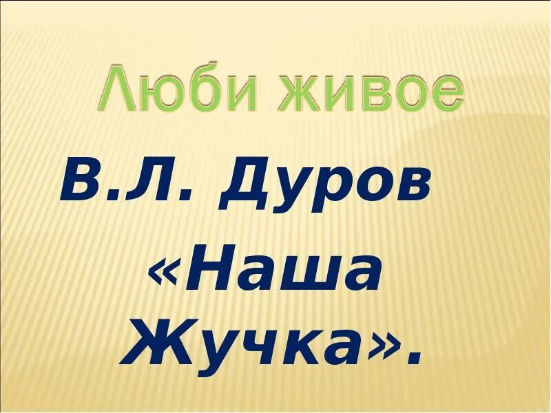 Рассказ в л Дуров наша жучка. Дуров наша жучка иллюстрации. Рассказ дурова наша жучка