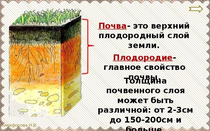 Плодородный слой почвы. Верхний слой почвы. Почва верхний слой земли. Верхний плодородный слой почвы. Плодородие это свойство почвы которое