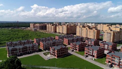 Новые снегири