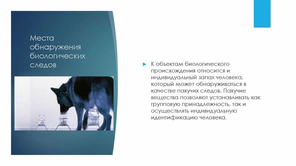 Обнаружение биологических. Исследование биологических следов человека.. источники происхождения биологических следов. следы геологического происхождения.