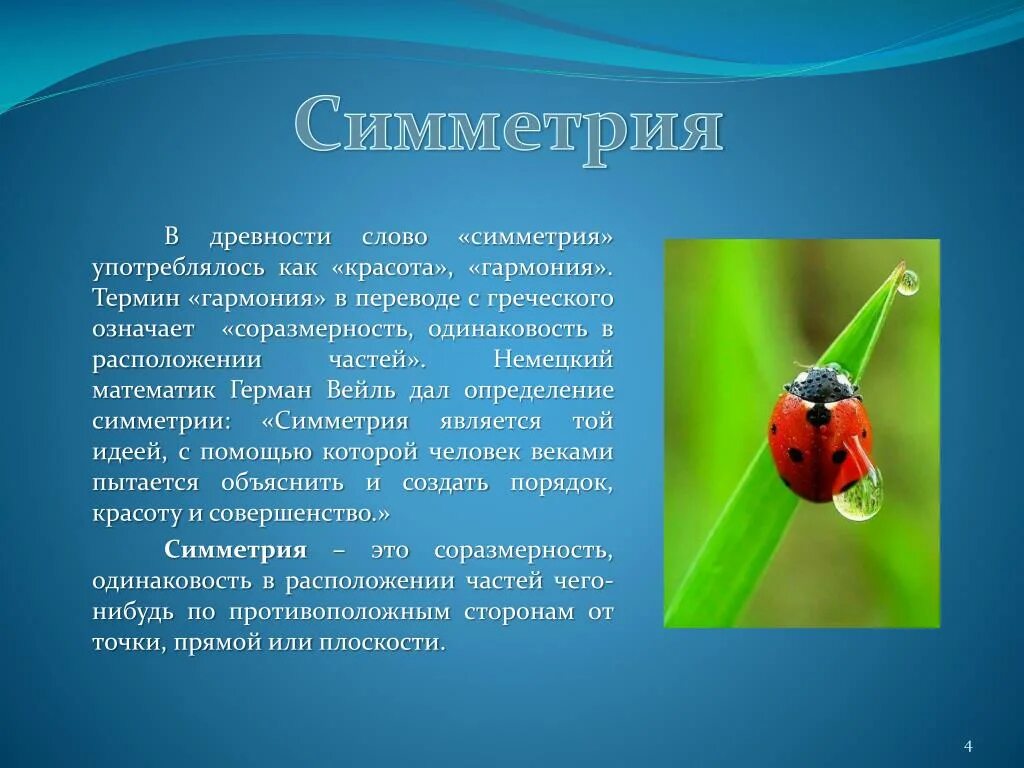 Сообщение симметричные