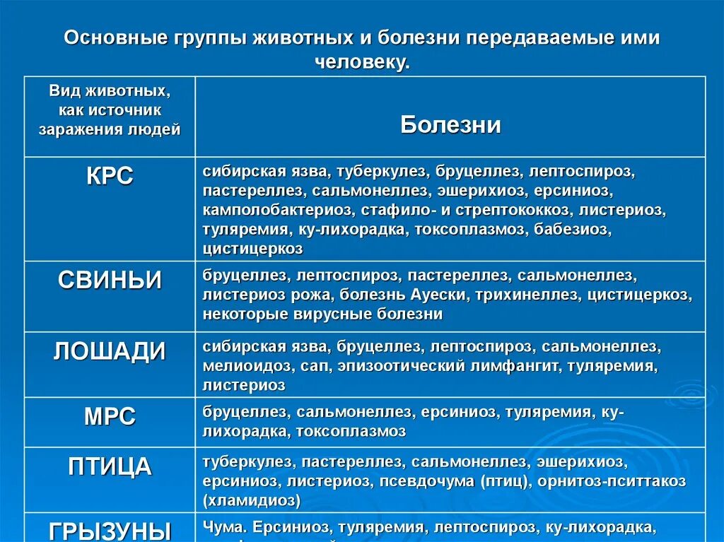 Основные группы болезней. Заболевания животных передающихся человеку. Перечень заболеваний передающихся от животных человеку. Заболевания у животных список. Заразные болезни животных передающиеся человеку это.