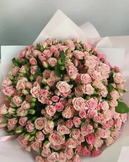 Розы маленькие большие