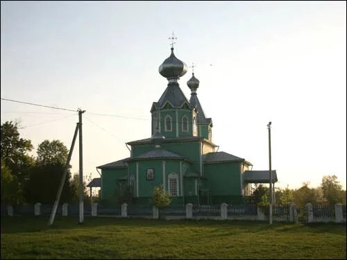 Крупец добрушская. Крупец добрушская