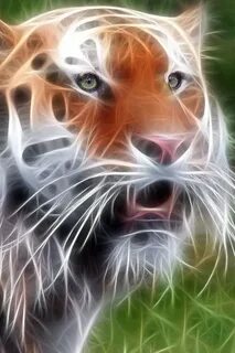 Красивые животные живые