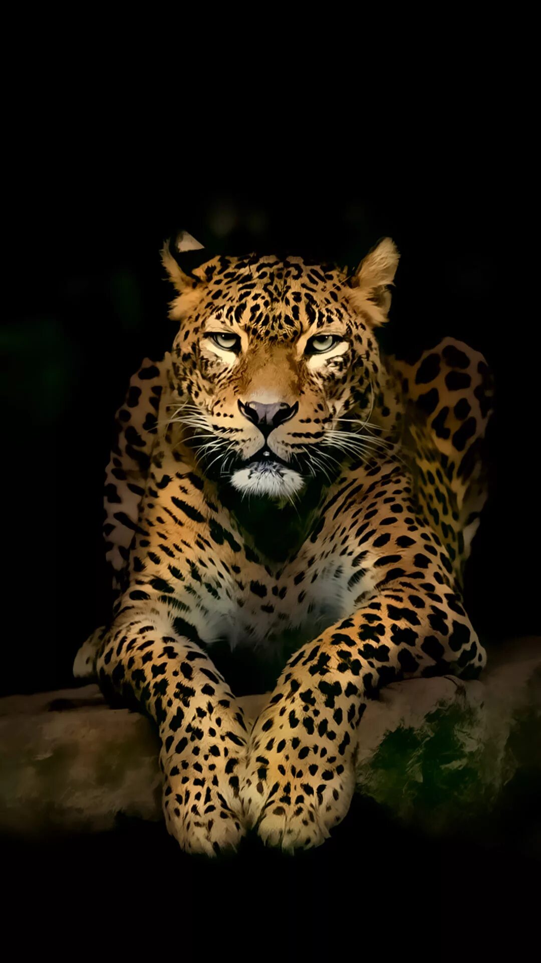 Заставка вертикальная на телефон хорошее качество. Тигр леопард гепард Ягуар. Панарский леопард. Рудрапраягский леопард. Красивые Дикие кошки.
