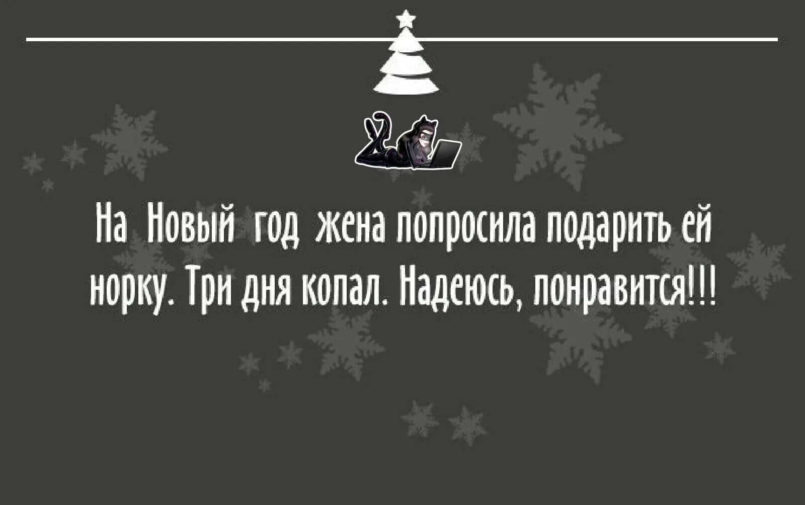 Статусы про новы. Статусы про новый год. Новогодние фразы. Статусы про новый год прикольные. Прикольные высказывания про новый год.