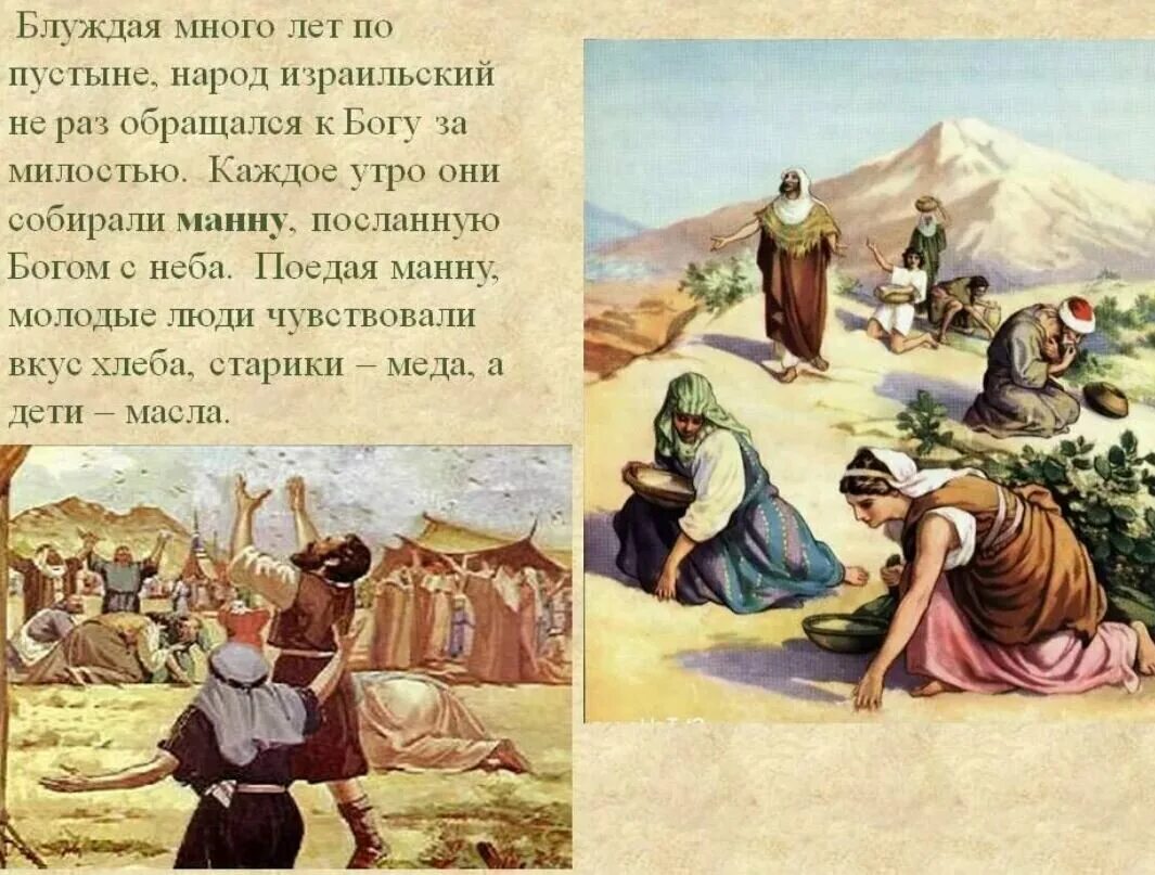 Еврейский народ в пустыне. Израильтяне в пустыне. Скитание евреев по пустыне