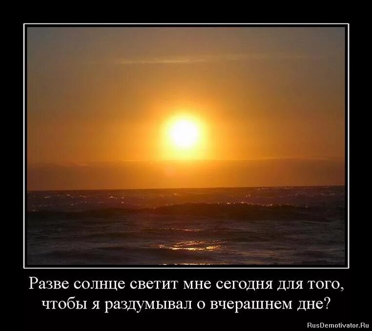 А солнце светит всем. Высказывания про солнце. Солнце не светит. Цитаты про солнце. Афоризмы о солнце.