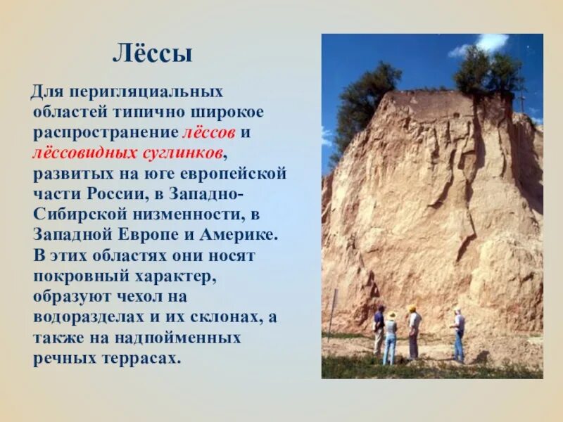 Лёсс осадочная горная порода. Лёсс горная порода. Лессы и лессовидные грунты это. Лессовидные суглинки почва. Эоловые лессы.