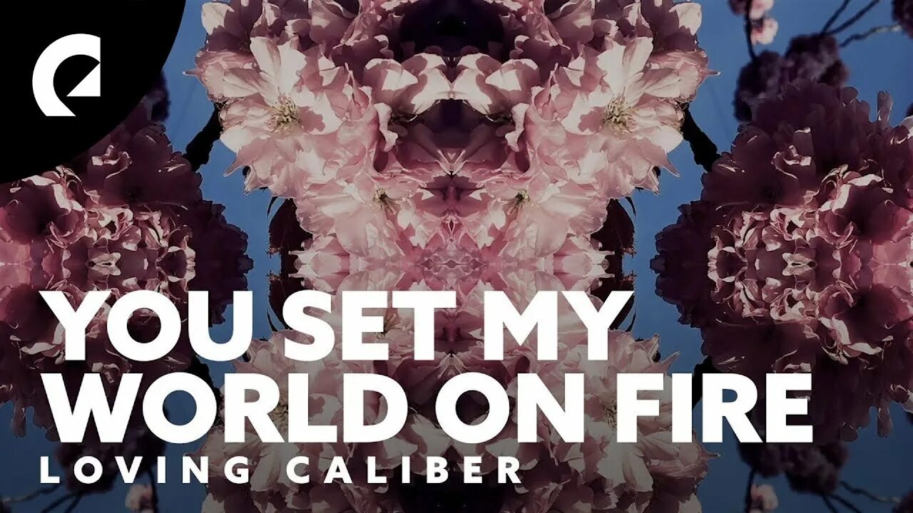 Loving caliber. Tina Charles - you Set my Heart on Fire. Loving Caliber & Johanna Dahl.