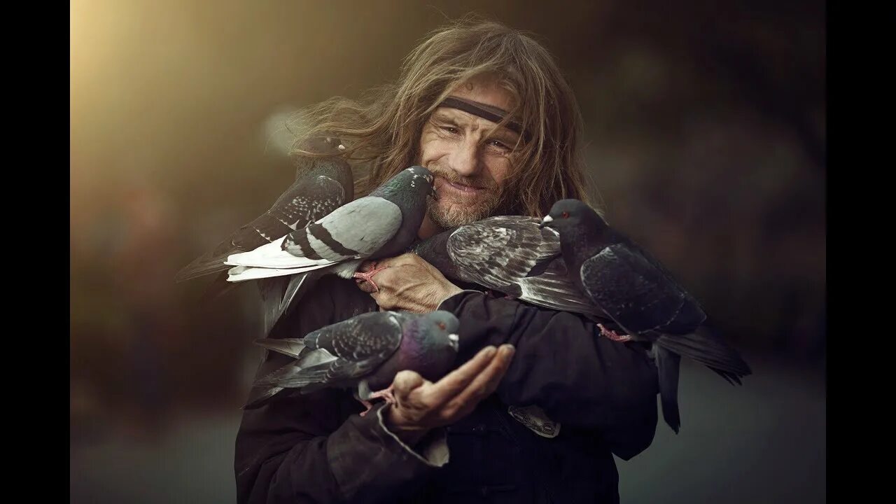 Dads bird