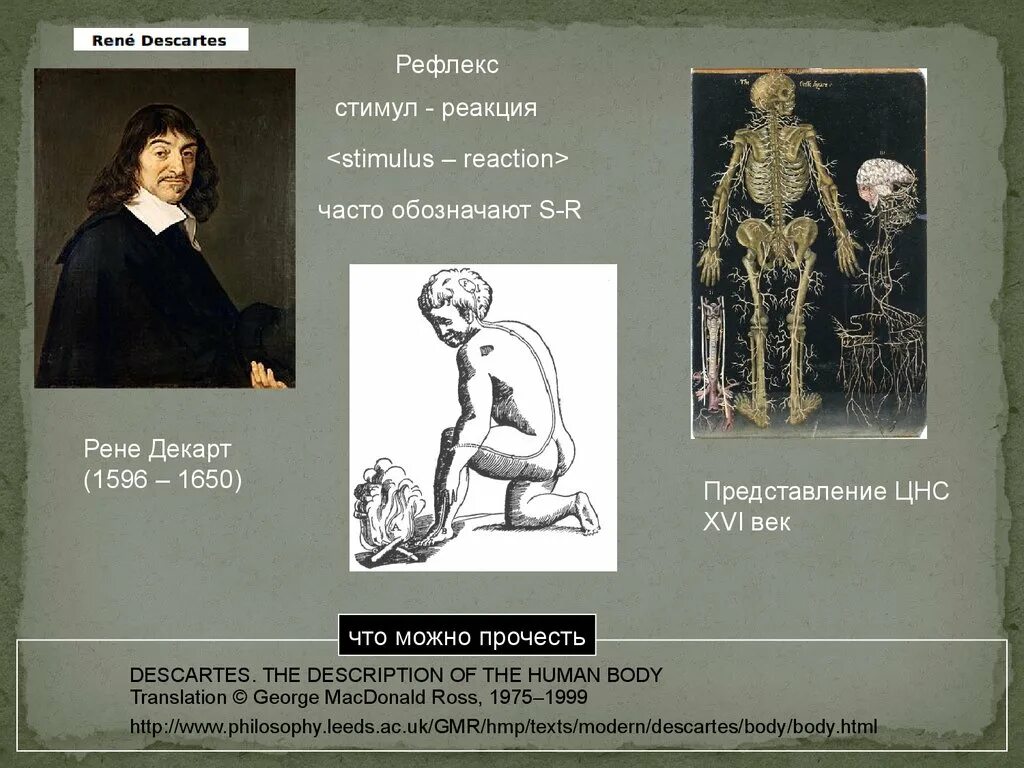 Рефлекторная теория декарта. Рене декарт рефлекторная теория. Рефлекторная теория декарта. Рефлекторная теория декарта. Схема рефлекса декарта.