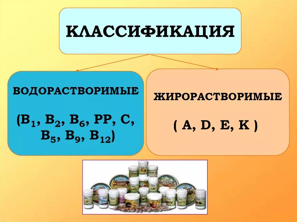 Два вида витаминов. Витамин д3 водорастворимый или жирорастворимый. Группы витаминов водорастворимые и жирорастворимые. Деление витаминов на группы. Водорастворимые и жирорастворимые витамины таблица.