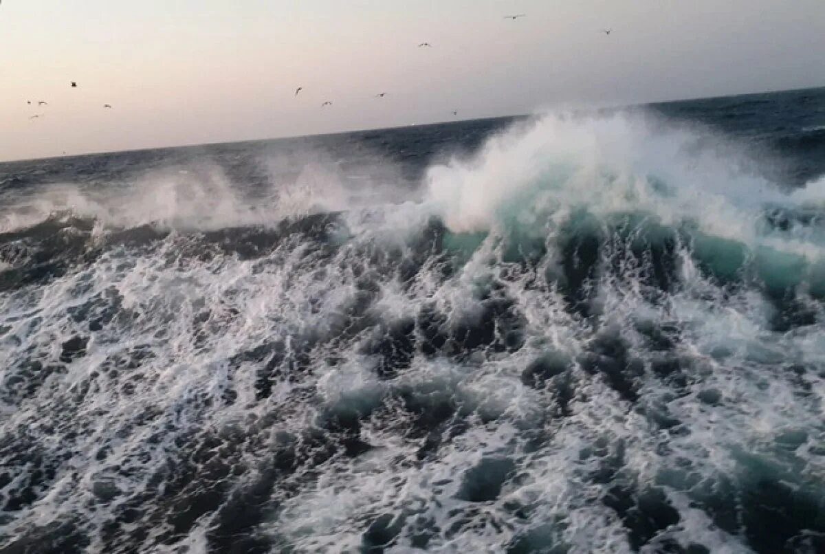 В виду надвигающихся штормов. Берингово море шторм. Шторм волны в Берингово море. Сильное волнение моря. Штормовое предупреждение на Камчатке.