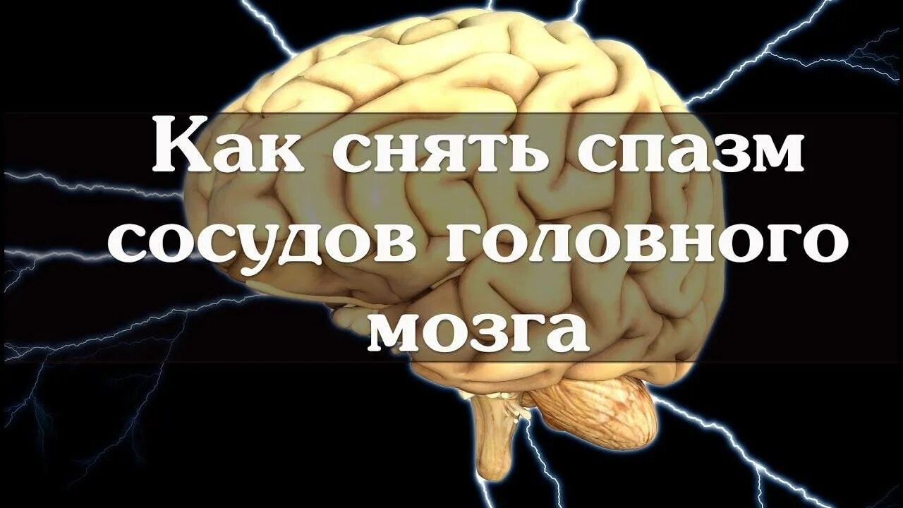 Лечение головного мозга форум. Мозг в голове.