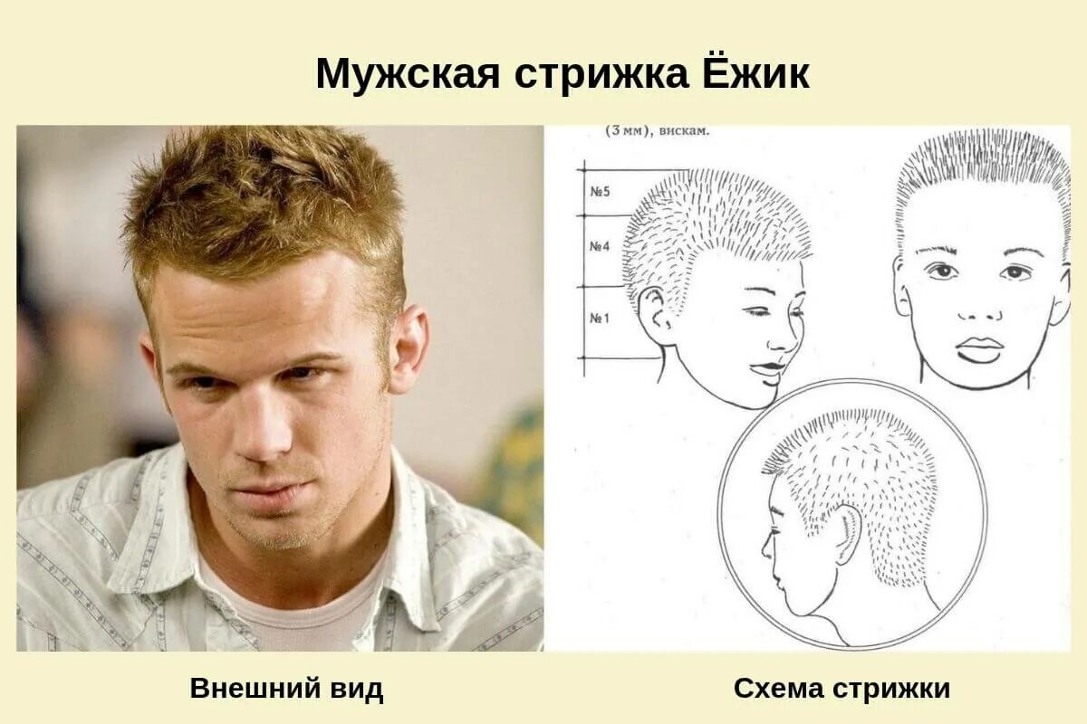 Технология выполнения мужской стрижки. Схема стрижки полубокс машинкой. Полубокс стрижка под машинку схема. Схема выполнения стрижки Ежик. Схемы мужских стрижек.