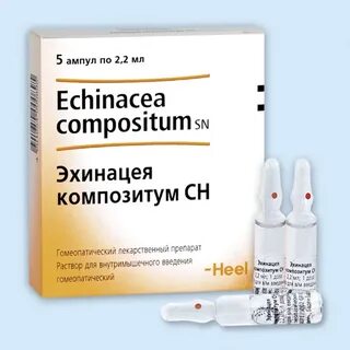 Эхинацея композитум