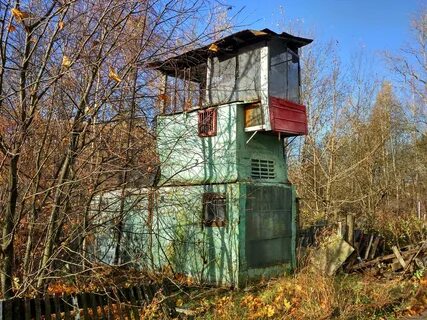 Какую голубятни
