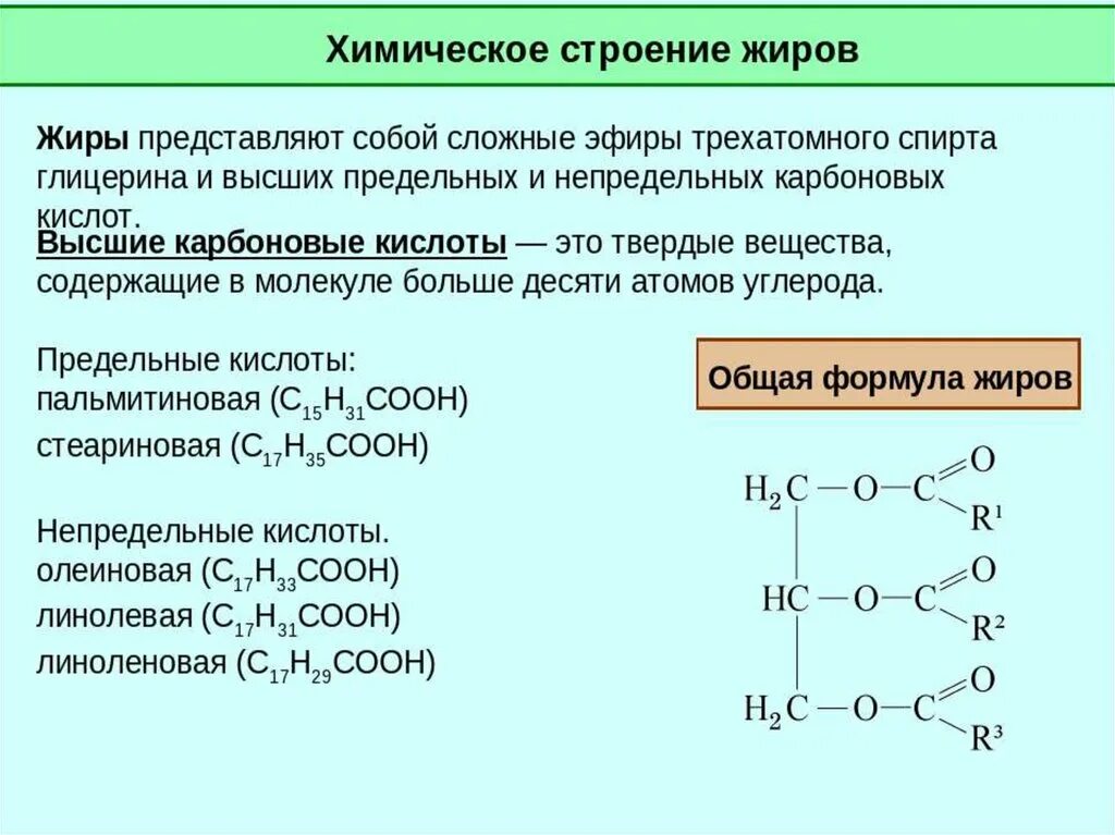 1 группа жиры