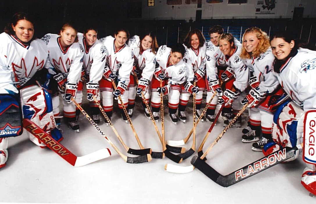 Hockey teams. Женская сборная германии по хоккею с шайбой. hockey team. шашки хоккейных клубов. electric hockey team.