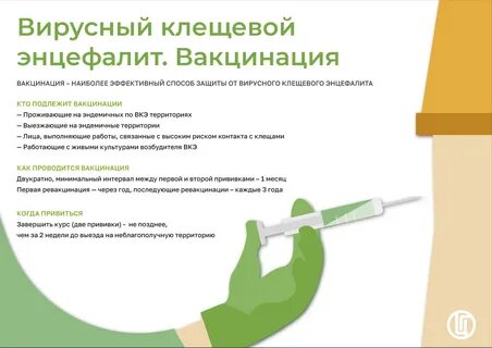 Энцефалит после укуса собаки